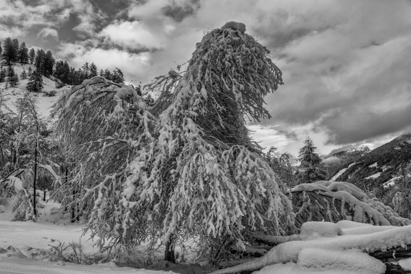 _D6B6431-Bearbeitet