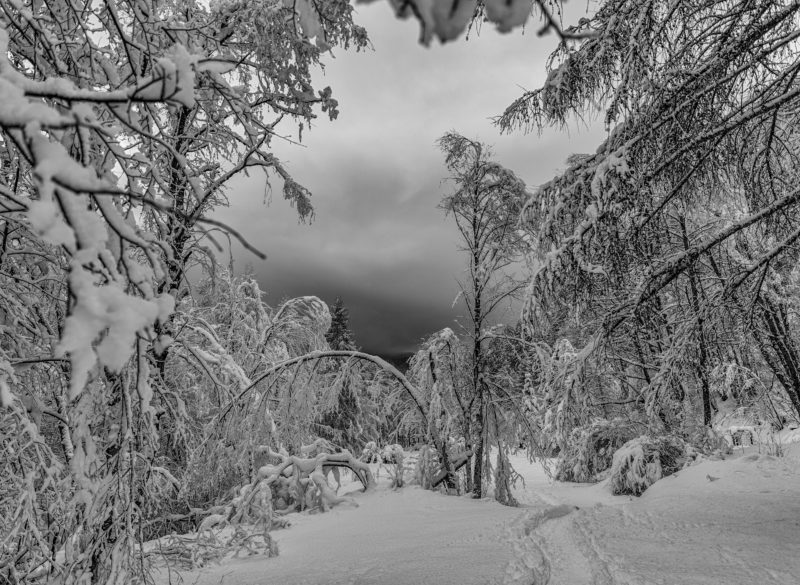 _D6B6453-Bearbeitet