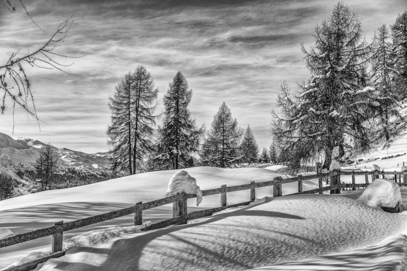 _D6B6629-Bearbeitet-Bearbeitet
