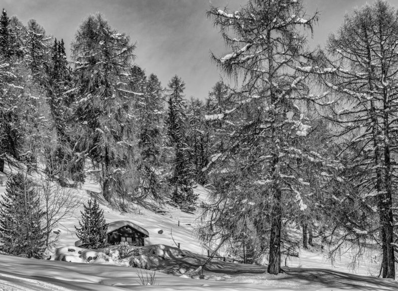 _D6B6648-Bearbeitet