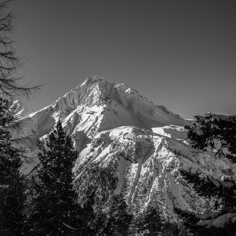 L1000515-Bearbeitet