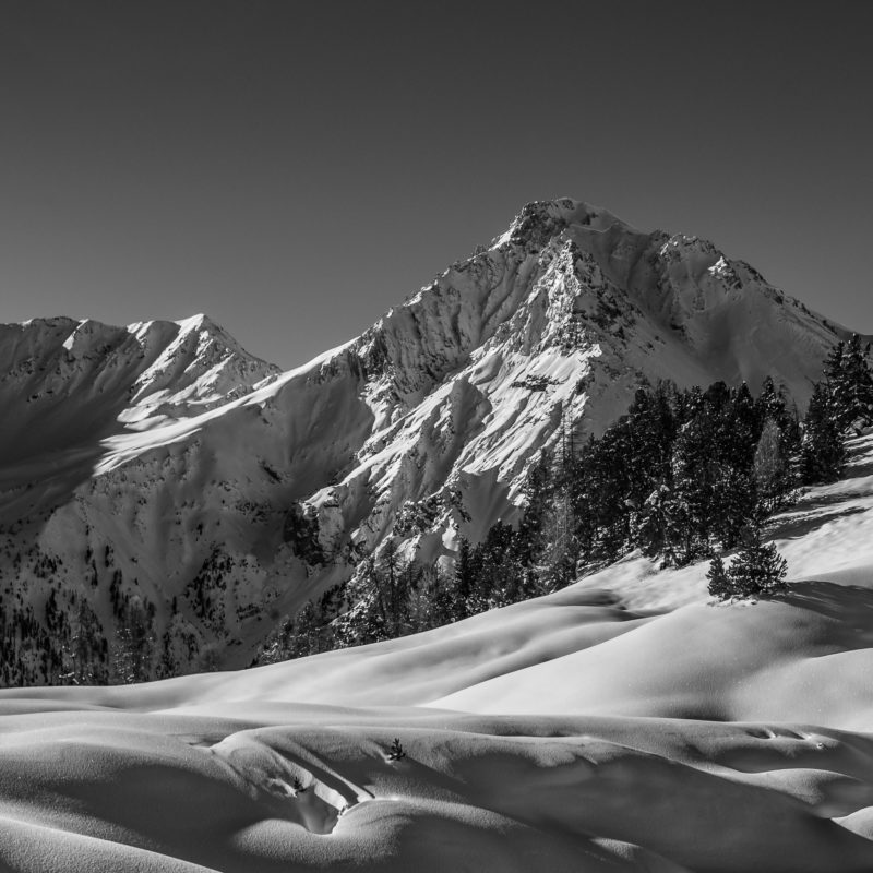 L1000525-Bearbeitet-2