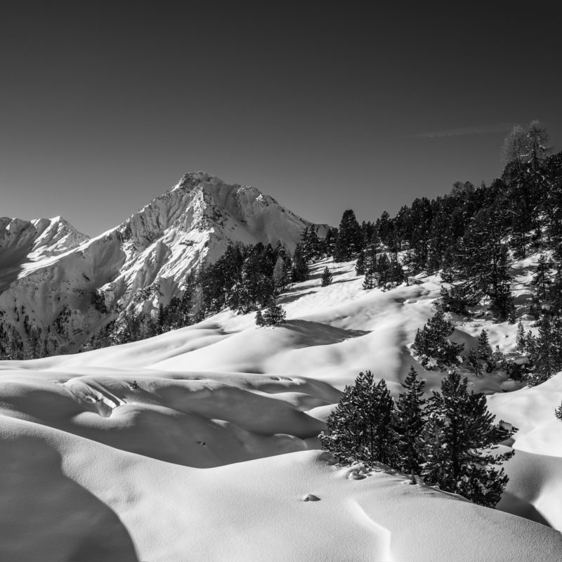 L1000525-Bearbeitet