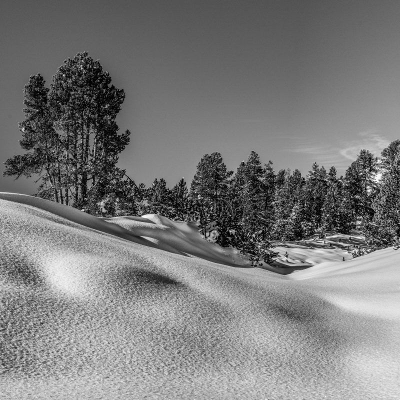 L1000561-Bearbeitet
