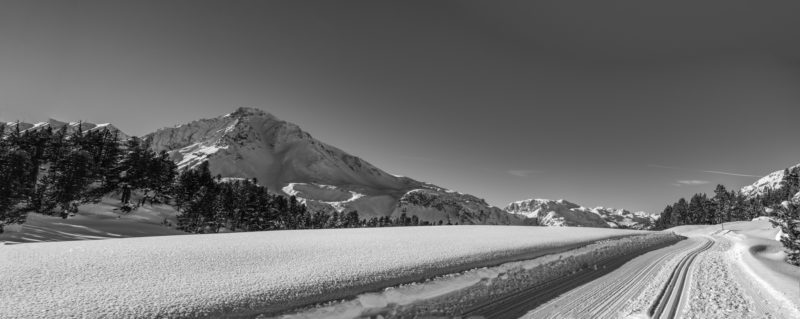 L1000577-Bearbeitet-Bearbeitet