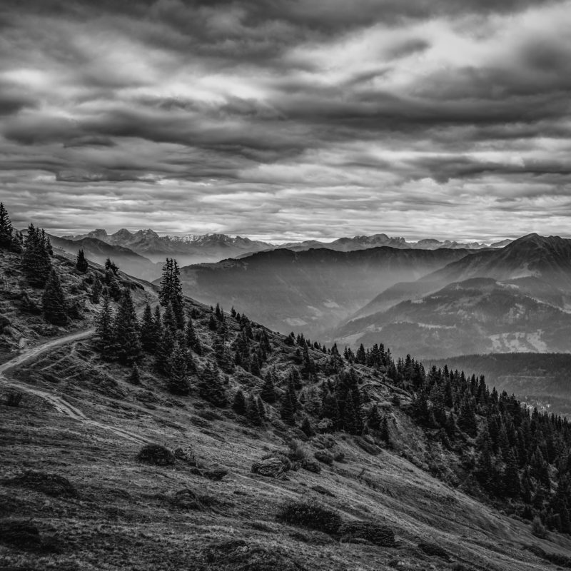 L1003450-Bearbeitet-2